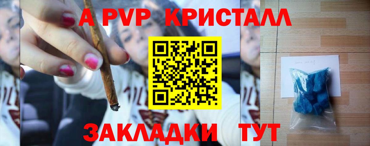 Альфа ПВП СК КРИС Сыктывкар