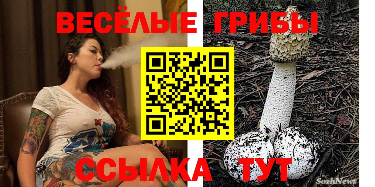 Псилоцибиновые грибы мицелий  что такое   Сыктывкар  Вход с VPN  Галлюциногенные грибы GOLDEN TEACHER 